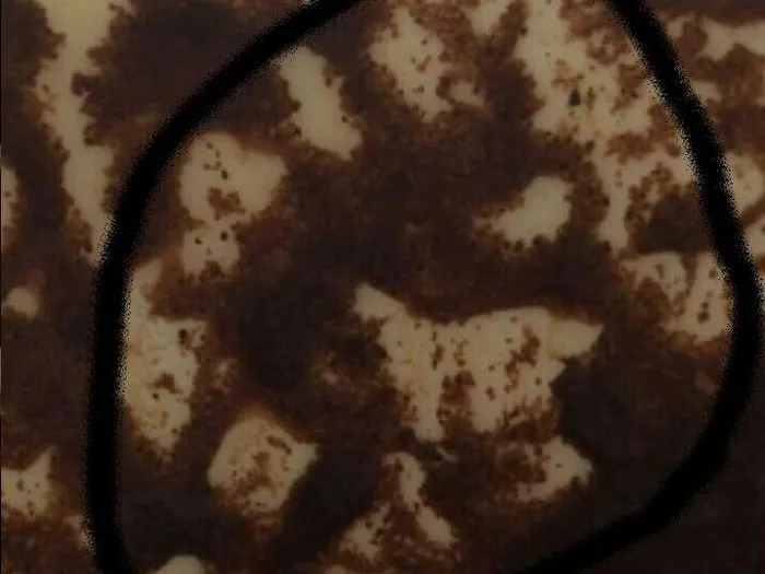 Запись на прием к гадалке в Выборге